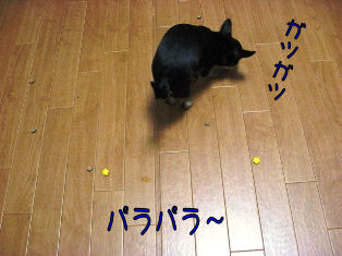 ｎ