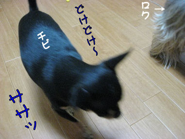 ｍ