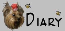 diary